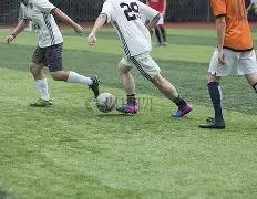 熱刺豪取茅,草冠,EBpay,ebpay官网下载app,ebpay下载,ebpay官网