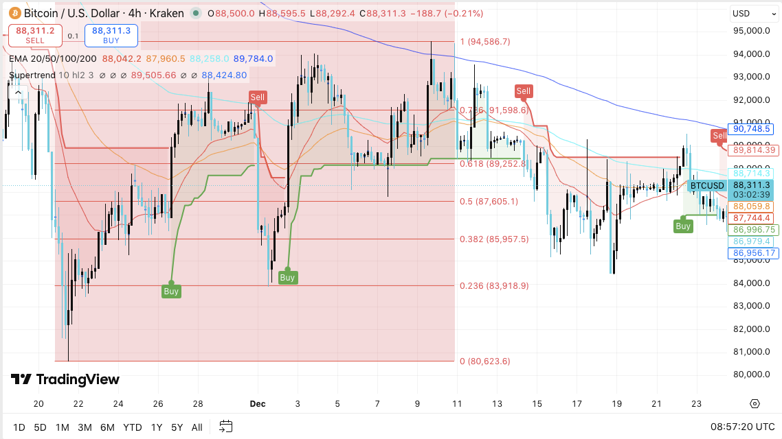 年国际男篮,赛事时间与,地点一览及,ebpay官网下载app,ebpay下载,ebpay官网