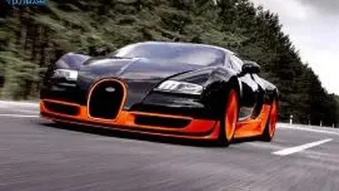 猫咪眼中主人的地位是怎样的？