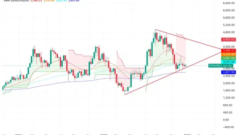 《宿敌续篇》上映时间公布，聚焦“天鹅”文人朋友圈