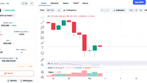 揭秘加密先锋笔耕X平台，竟获马斯克百万奖金大礼！币圈盛事！